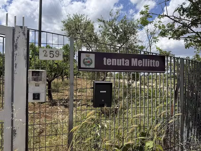 Tenuta Mellitto