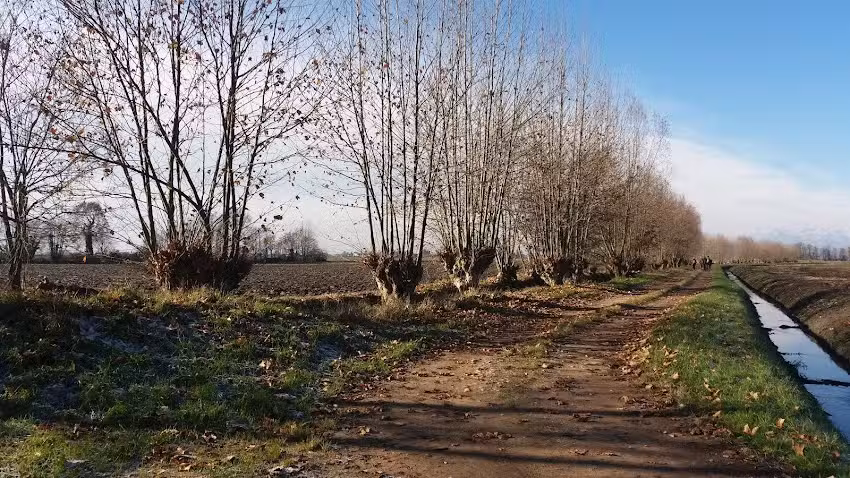 Tenuta Robarello
