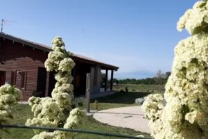Tenuta Sorìa – Az. Agricola Baroni di Ramursura