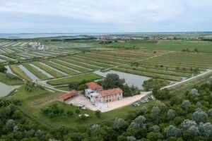 Tenuta Valle Ca’ del Lovo