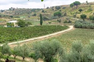 Tenuta Valle delle Ferle