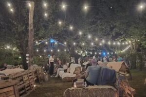 Tenuta Vitale – Azienda agricola multifunzionale