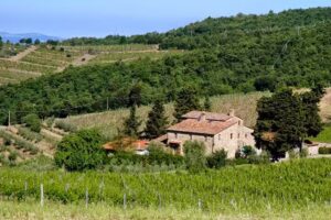 Tenute Squarcialupi La Castellina