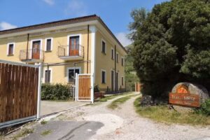 That’s Amore Cilento