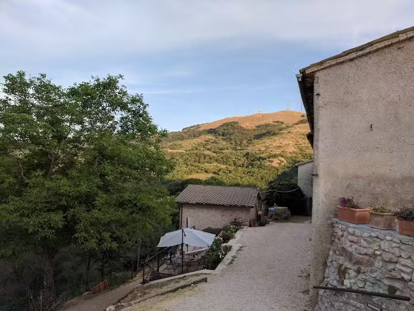 The Black Truffle Lodge