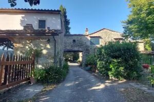 The Estate Of Petroio, Tuscany