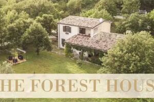 The Forest House B&B