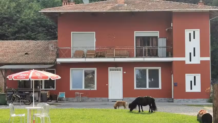 THE HORSE – GUEST HOUSE