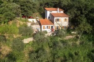 The House In The Green