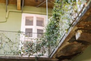 Tomato Urban Retreat