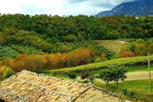 Tommaso Masciantonio