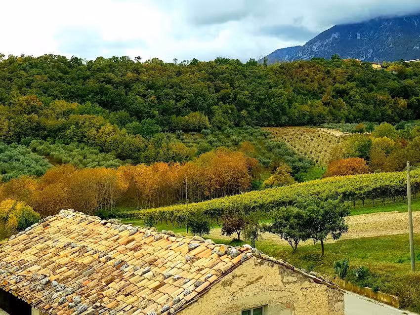 Tommaso Masciantonio