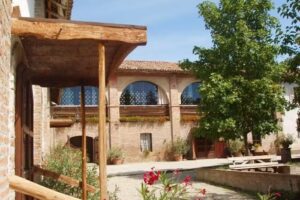 Torrazzetta Natural Winery Agriturismo