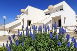 Torre Vado Residence