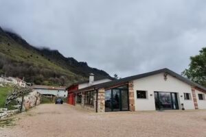 Tra i Glicini e il Sambuco