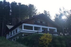 Tra il bosco e il lago