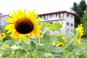 Truc Balari | Camere in Collina