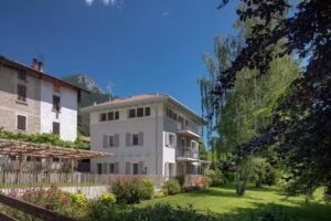 Tulipa Natural Home Italia