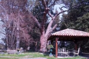 Turismo Rurale “Parco Statella”