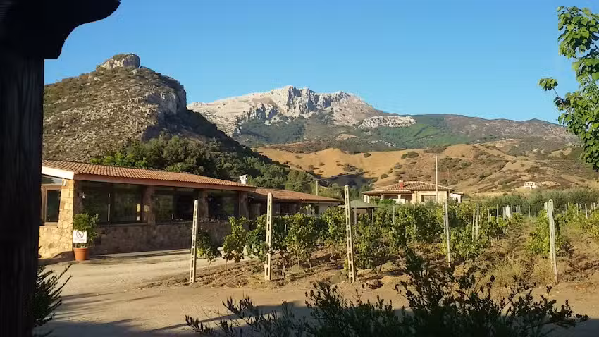 Turismo Rurale Sa Tanca e Bore