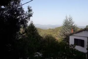 Vacanze Toscane – Il Castagno, La Quercia e Agrifogli