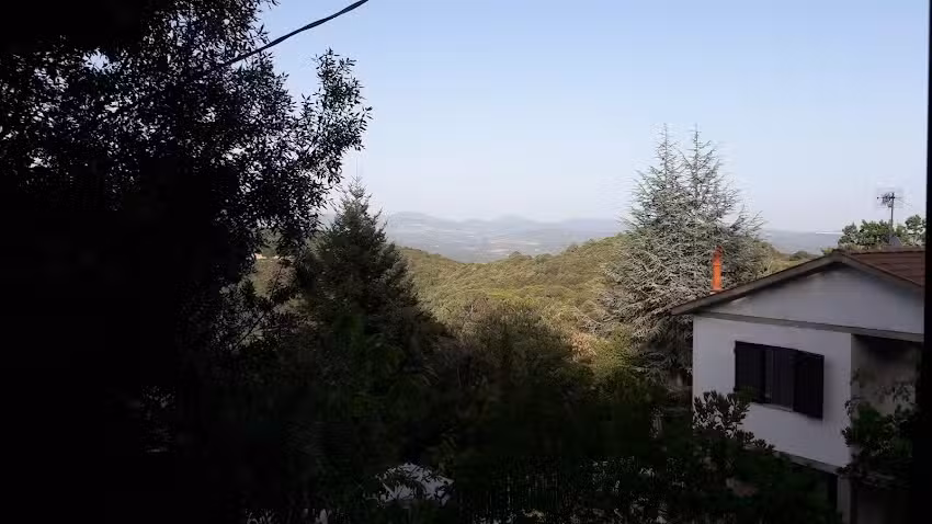 Vacanze Toscane – Il Castagno, La Quercia e Agrifogli