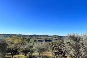 Valli e draghi Affittacamere