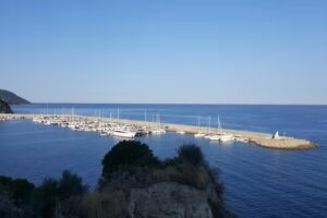 Vecchio Saracino | Carola 1801