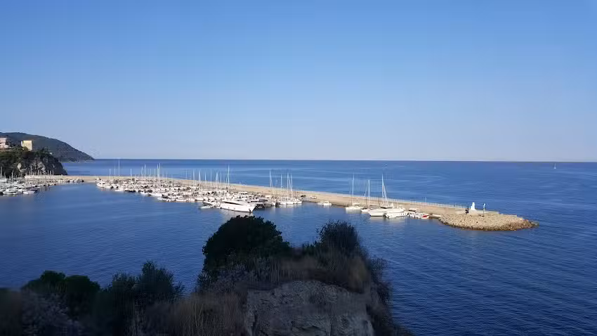 Vecchio Saracino | Carola 1801