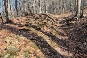 Via romana antica 41