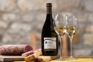 Vigneto Vecio – agriturismo con cucina