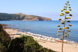 Villa Celi – Appartamenti a soli 40 metri dal mare