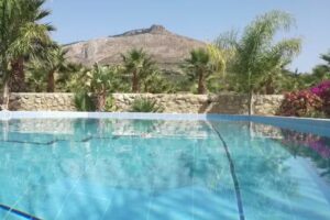 Villa Delle Palme Delfina