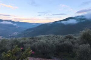 Villa Desideri Agriturismo Dinoabbo