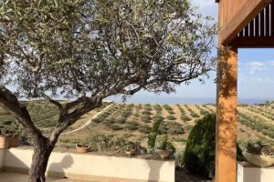 Villa Giulia Bovo Marina