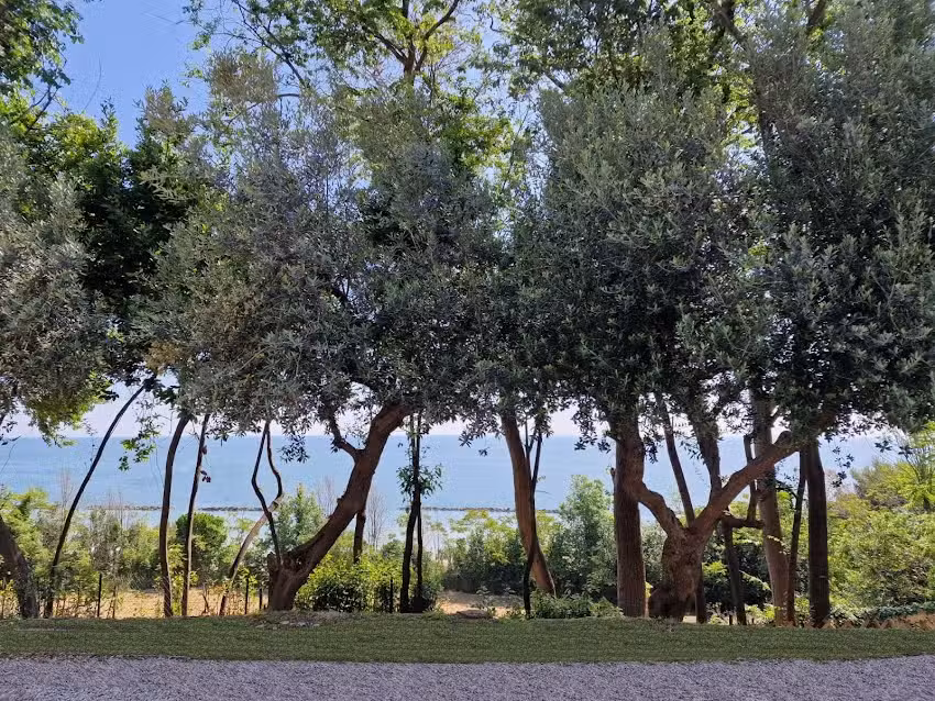 Villa Le Cupe. Cupra Marittima, Marche