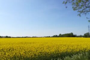 Villa Lorena di Casonato Teresa