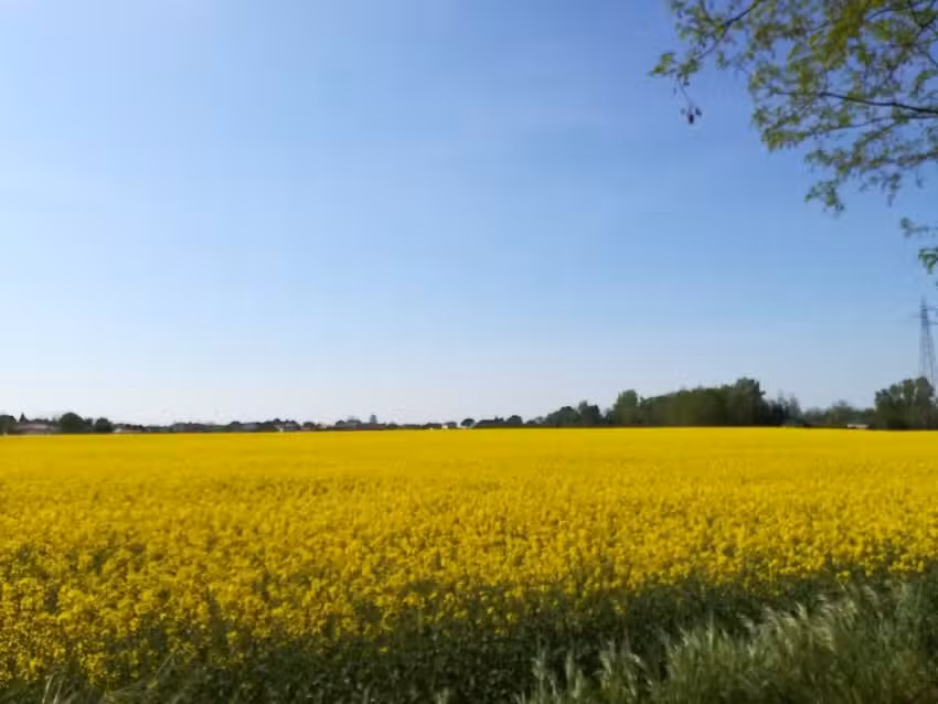 Villa Lorena di Casonato Teresa