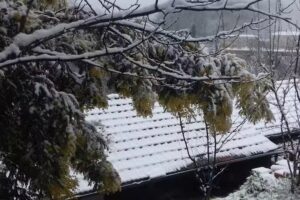 Villa Montebello B&B