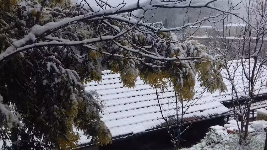 Villa Montebello B&B