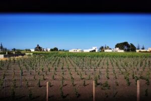 Villa Paradiso Mediterraneo