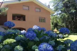 Villa Prati del Vivaro