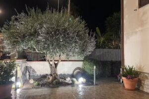 Villa Rea Comfort & Relax