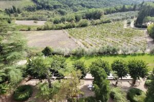 Villa Torre Alberghieri