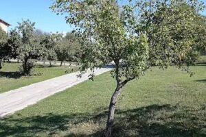 Villa With Private Pool on an Estate Near Assisi