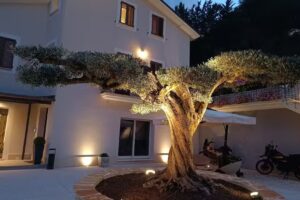 Villacolle Visso affittacamere, B&B