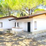 Villaggio Camping Lido del Mare | Rodi Garganico