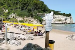 Villaggio Turistico Camping Parco Degli Ulivi