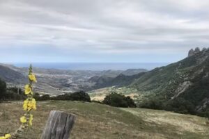 Visit.Antonimina | Affittacamere & Home