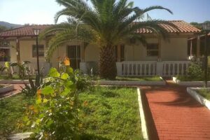 VMhotel Napeto – Dog Village